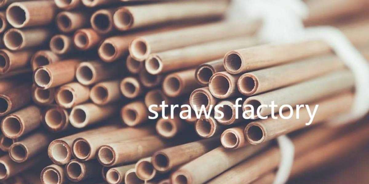 Soton Straws Elevates Biodegradable Standards Worldwide