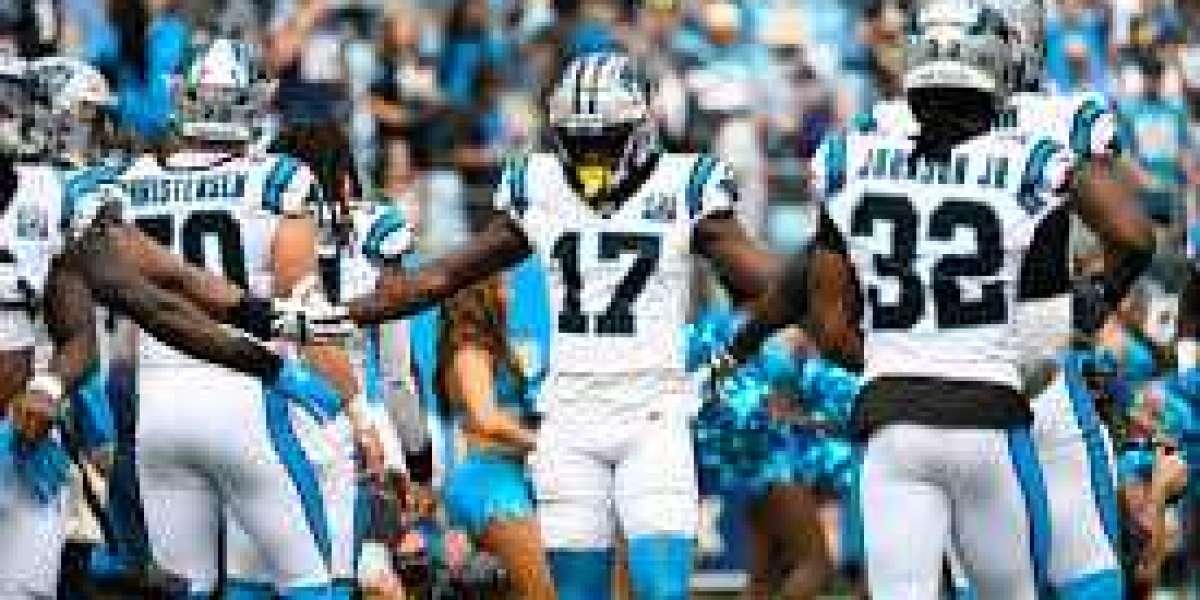 Panthers not signing Milton Williams
