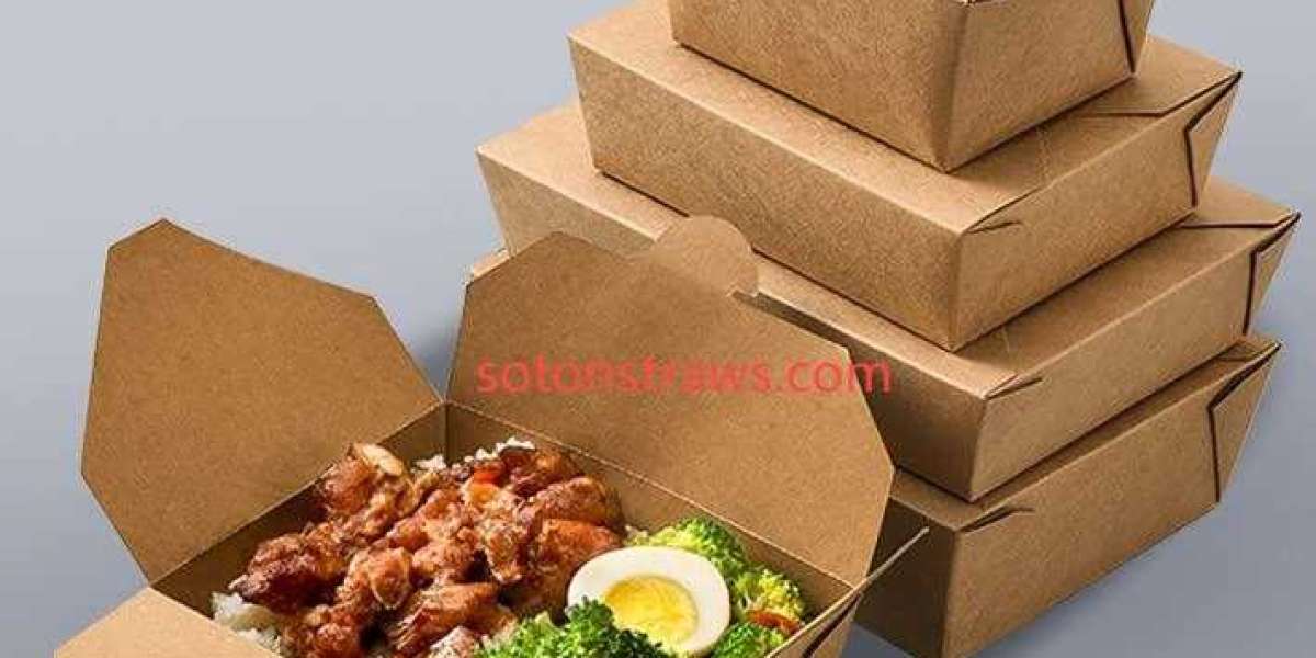Resource Lifecycle Management with Soton's Disposable Kraft Box