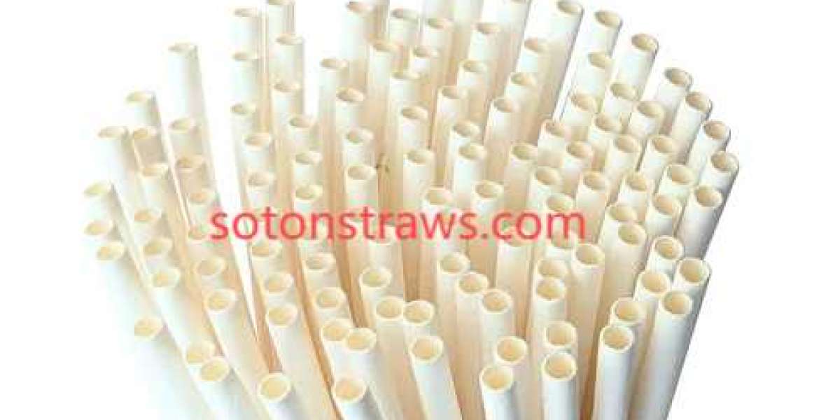From Skyline to Sipline: Soton’s Vertical Integration in Paper Straw Production