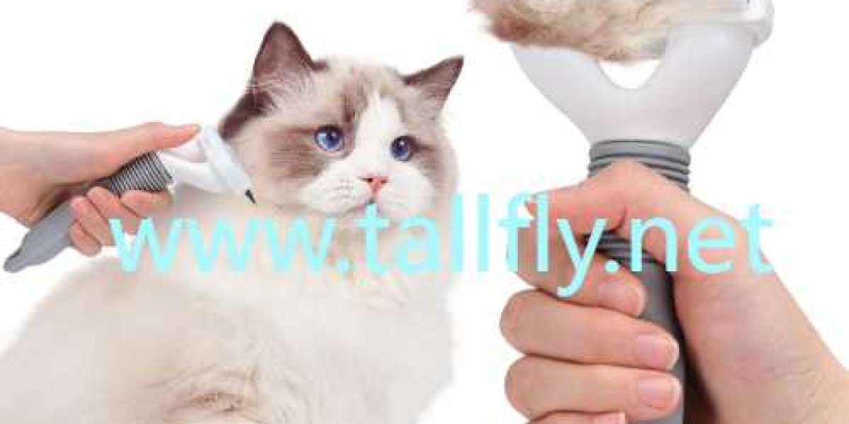 Transform Daily Grooming with a Well Designed Cat Comb from Tallfly