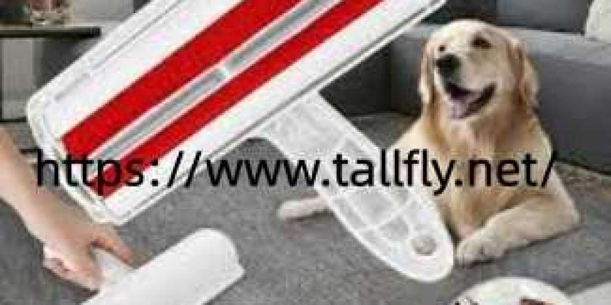 Is Tallfly Hair Remover Roller Supplier A Good Long Term Match